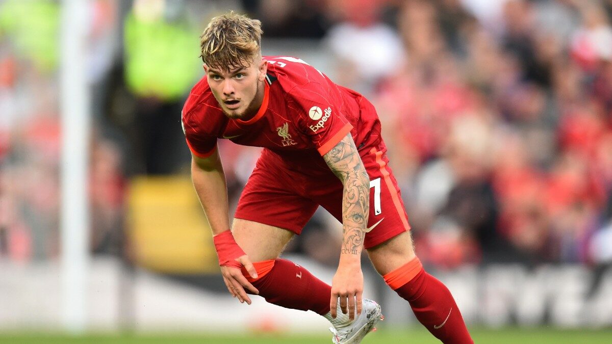 ฮาร์วีย์ เอลเลียตต์ กล่าวว่าการฉลองที่เข่าของเขาได้รับบาดเจ็บนั้นเป็น การตัดสินใจที่โง่เขลา        