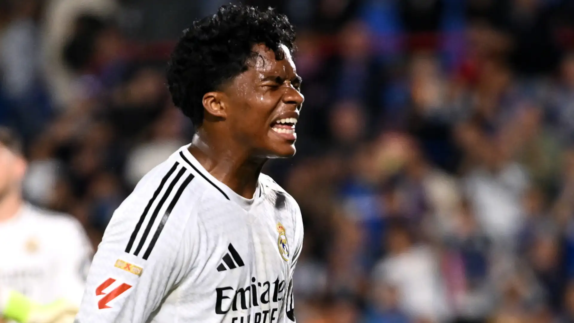 จับตามองอนาคตของเอ็นดริค