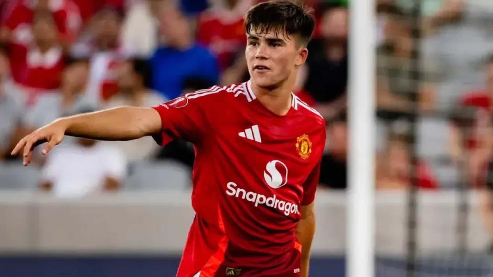 อนาคตของแฮร์รี่ อามาสจะเป็นอย่างไรหลังจากที่รูเบน อโมริมแสดงความคิดเห็นว่ากำลังดิ้นรน